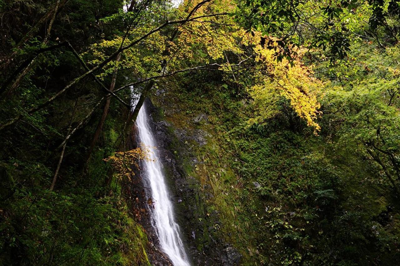 Yadori Onsen Iyashinoyu Villa Hasimoto Kültér fotó