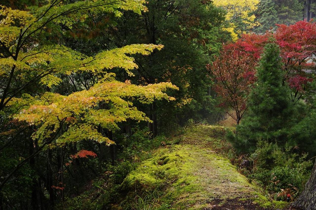 Yadori Onsen Iyashinoyu Villa Hasimoto Kültér fotó